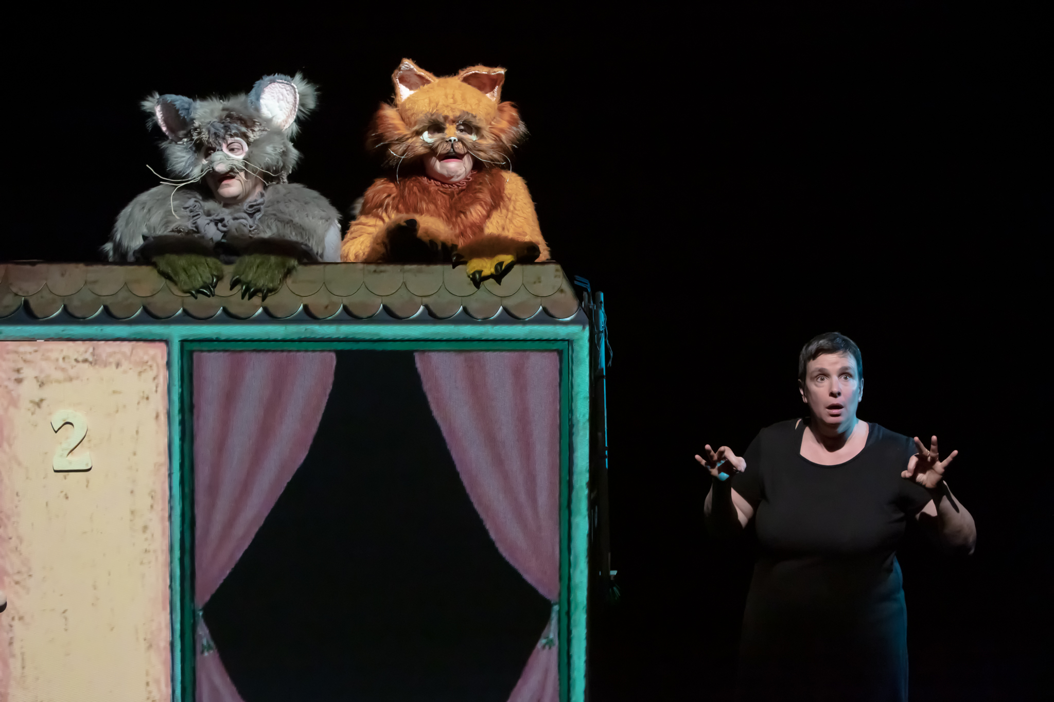 D'un côté, un décors représentant la façade et la fenêtre d'une maison. Au-dessus apparaissent les bustes et les têtes de deux comédiens avec des masques de chat. De l'autre côté, une interprète en langue des signes.