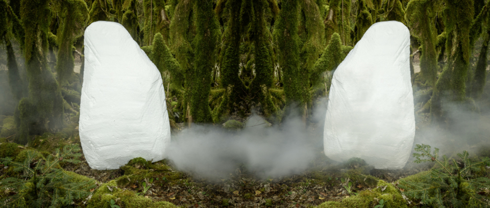 Deux formes blanches sont posées dans une forêt de mousse. Il y a du brouillard au sol.